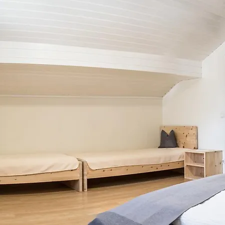 Daire Haus Bacher Fulpmes
